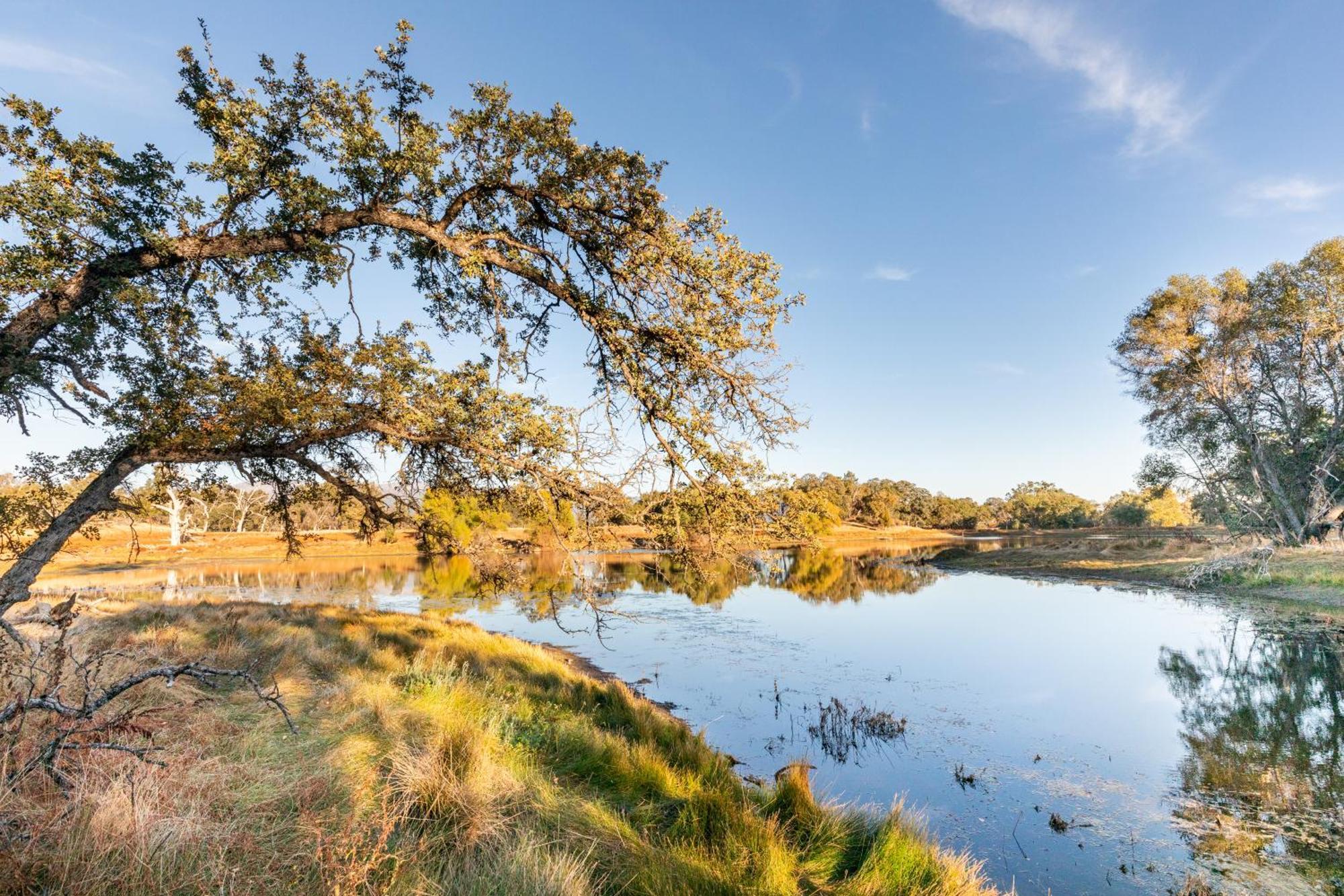 Rolling Oaks Ranch - 200 Acres Of Lakeside Beauty & Countryside Serenity Марипоса Экстерьер фото