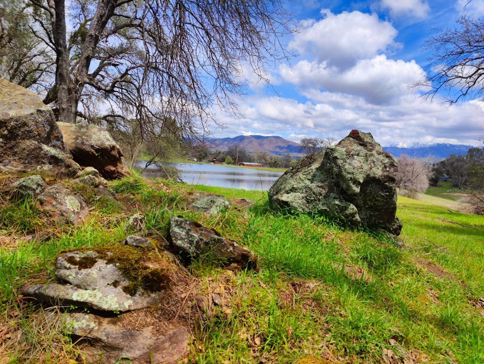 Rolling Oaks Ranch - 200 Acres Of Lakeside Beauty & Countryside Serenity Марипоса Экстерьер фото