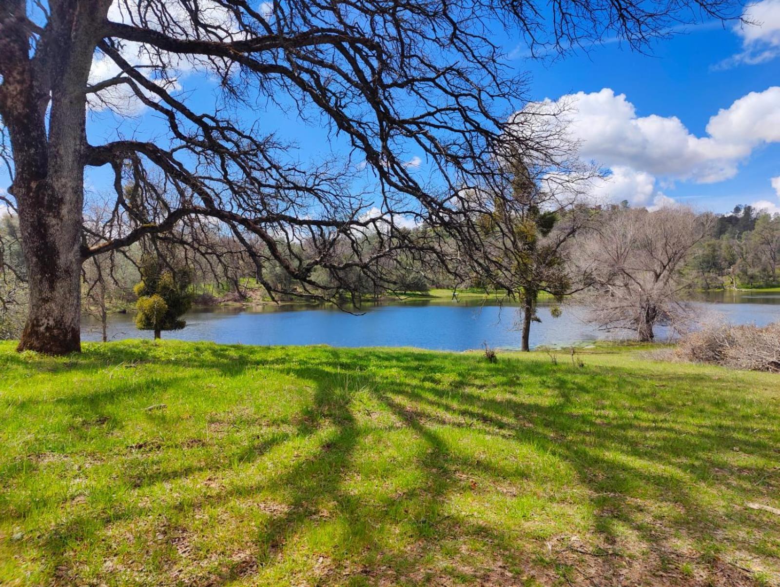 Rolling Oaks Ranch - 200 Acres Of Lakeside Beauty & Countryside Serenity Марипоса Экстерьер фото